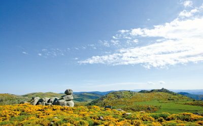 LA PELOUSE DU MONT LOZÈRE