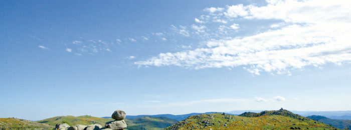 LA PELOUSE DU MONT LOZÈRE