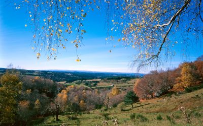 SOURCES ET GORGES DE L’ALLIER – GR470