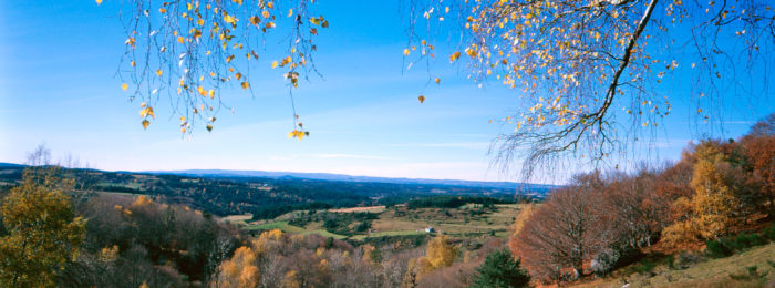 SOURCES ET GORGES DE L’ALLIER – GR470