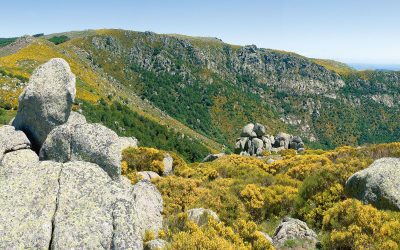 TOURS DU MONT-LOZÈRE ET DU CAUSSE MÉJEAN – GR DE PAYS