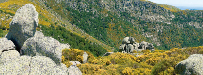 TOURS DU MONT-LOZÈRE ET DU CAUSSE MÉJEAN – GR DE PAYS