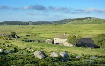 BALADE AU PIED DU MONT LOZERE