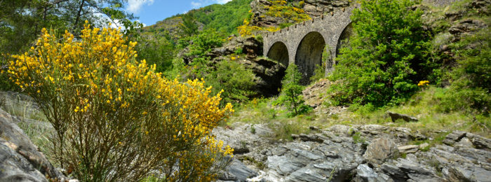 GORGES DU TARN, CEVENNES ET MONT LOZERE