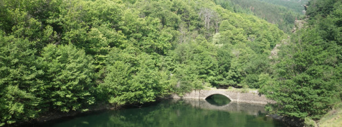 LAC DE ROUJANEL