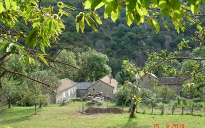 VILLAGE DE GÎTES, CHARRAIX