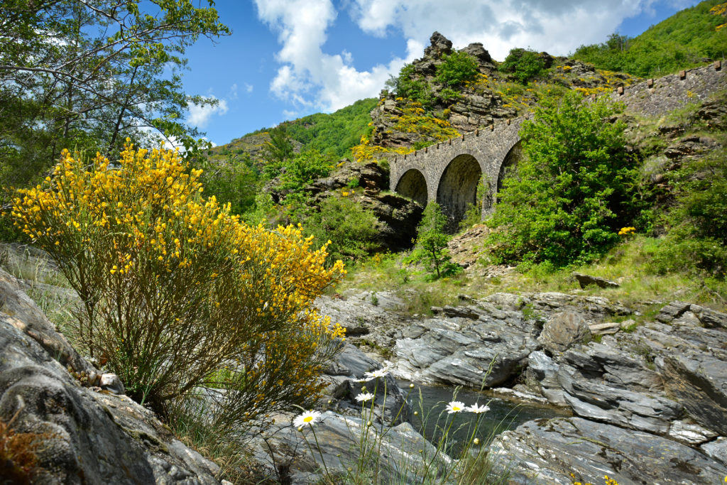 lozere cevennes