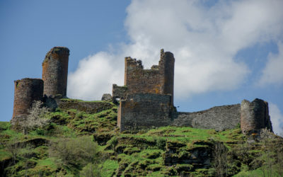 CHATEAU DU TOURNEL