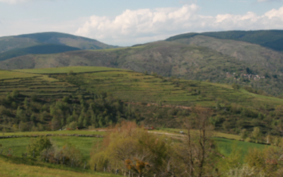 DU BERGOGNON À VILLESPASSES