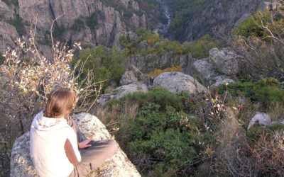 DE LA GARDE GUÉRIN AU ROURE
