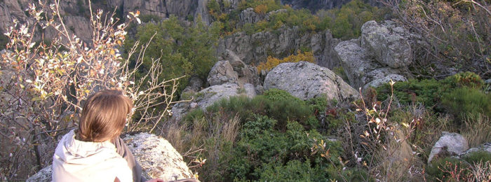 DE LA GARDE GUÉRIN AU ROURE