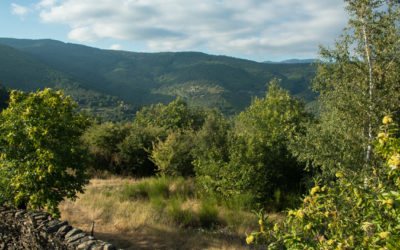 Le Parc National des Cévennes