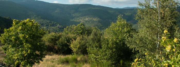 Le Parc National des Cévennes