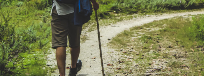 SENTIER DE CHANTEDUC