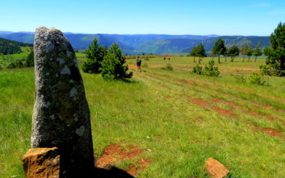 Balade au pays des menhirs