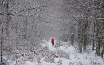 L’hiver autrement sur le Mont-Lozère