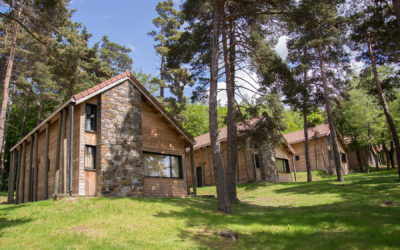 LES SOUS BOIS DE LA BASTIDE