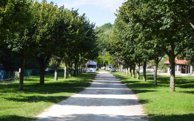 CAMPING DES PERVENCHES