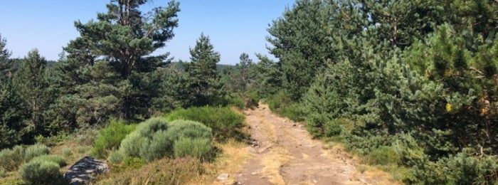 LES GORGES DU BRAMONT ET L’ÉTANG DE BARRANDON