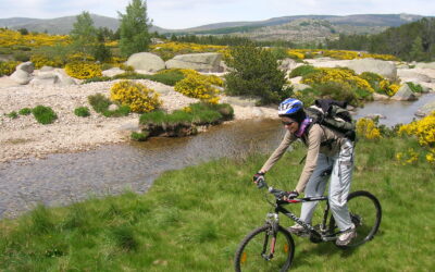 Pont du Tarn – VTT n°9