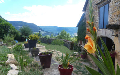 LE NID DU COLIBRI