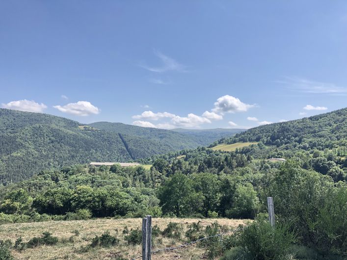 Versant Nord Mont Lozère – Trail n°9