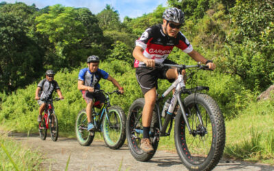 Sources du Lot – VTT n°18