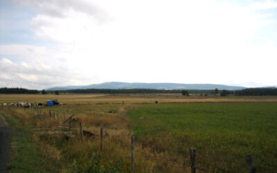 Causse de Montbel
