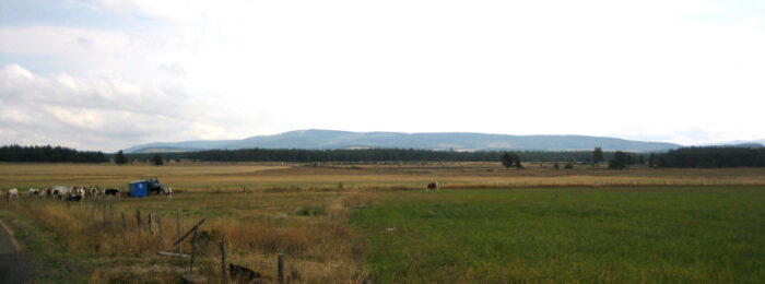 Causse de Montbel