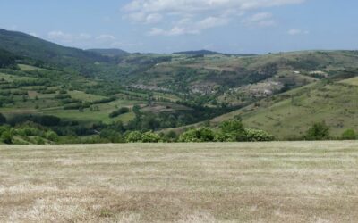 Causse de la Volte