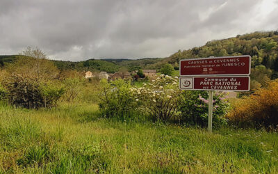 Col de la Loubière – VTT N°22