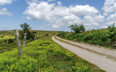 Col de Finiels  – VTT n°12