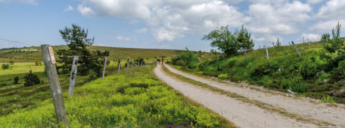 Col de Finiels  – VTT n°12