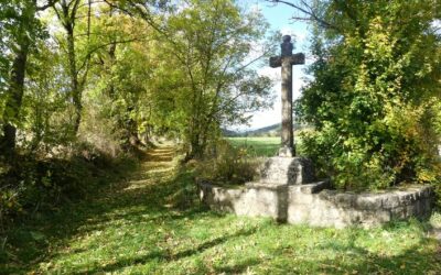 Le Moure d’Allenc – Trail n°8