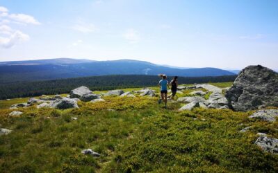 Villages Nord Mont Lozère – Trail n°16