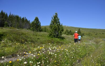 Sommet de Finiels et Pelouse – Trail n°17