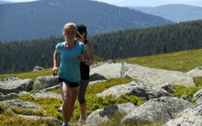 Sommet de Finiels et Pelouse (Variante courte) – Trail n°17v