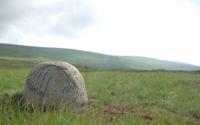VADROUÏLLE