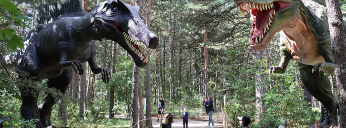 DINOPEDIA PARC
