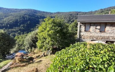 GÎTE AU COEUR DES ÉTOILES