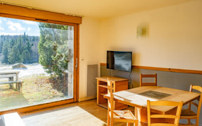 VILLAGE DE GITES DU MAS DE LA BARQUE APPARTEMENT  2-4 PERS. PLAIN PIED