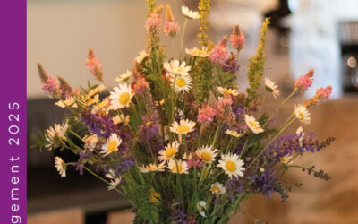 Guide hébergement Mont Lozere 2025