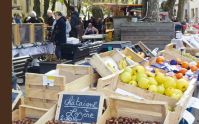 Terroir d&rsquo;ici et activités traditionnelles